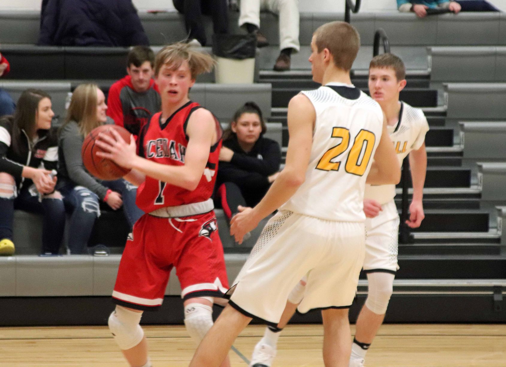Necedah at Royall boys basketball (12/20/18)